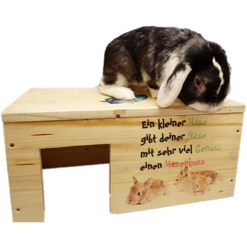 Kaninchenhaus Nagerhaus Kleintierhaus XXL mit 2 Eingängen - - Nagerstore