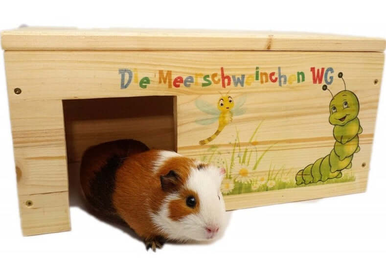Meerschweinchenhaus Natur mit 2 Eingängen, Holzlasur & Aufklappbar - - Nagerstore