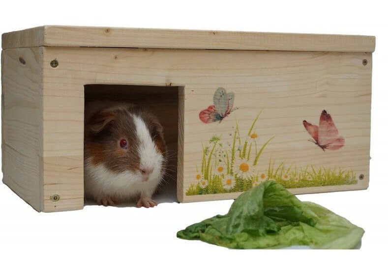 Meerschweinchenhaus Schmetterling mit 2 Eingängen & Holzlasur - - Nagerstore