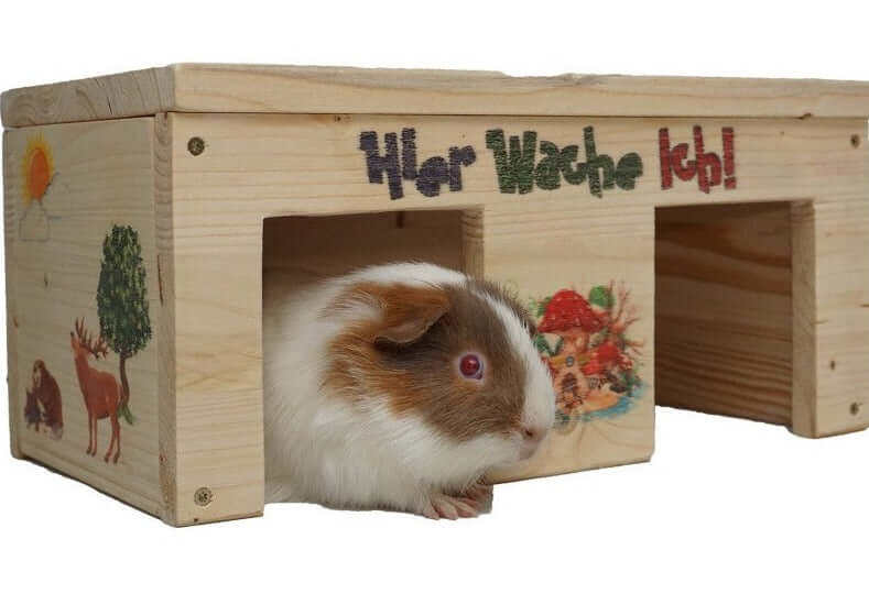 Nagerhaus Hier Wache Ich Meerschweinchen mit 2 Eingängen & Holzlasur - - Nagerstore