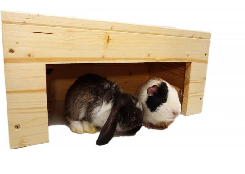 Meerschweinchen Kaninchen Unterstand sehr Stabil & mit Schutzlasur - - Nagerstore