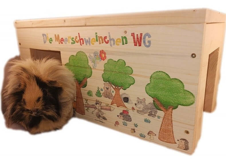 Meerschweinchenhaus Wald mit Wunschnamen - - Nagerstore