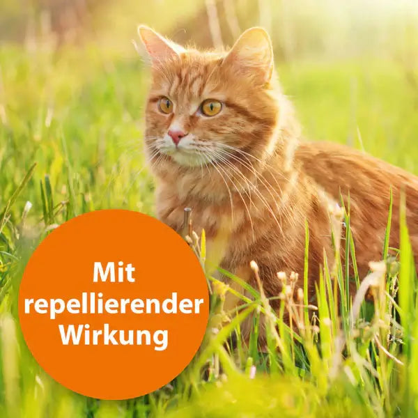 ARDAP Zecken- und Flohhalsband für Katzen - - Ardap