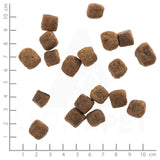 Wolfsblut Adult Wild Duck & Turkey - Das Futter im Detail