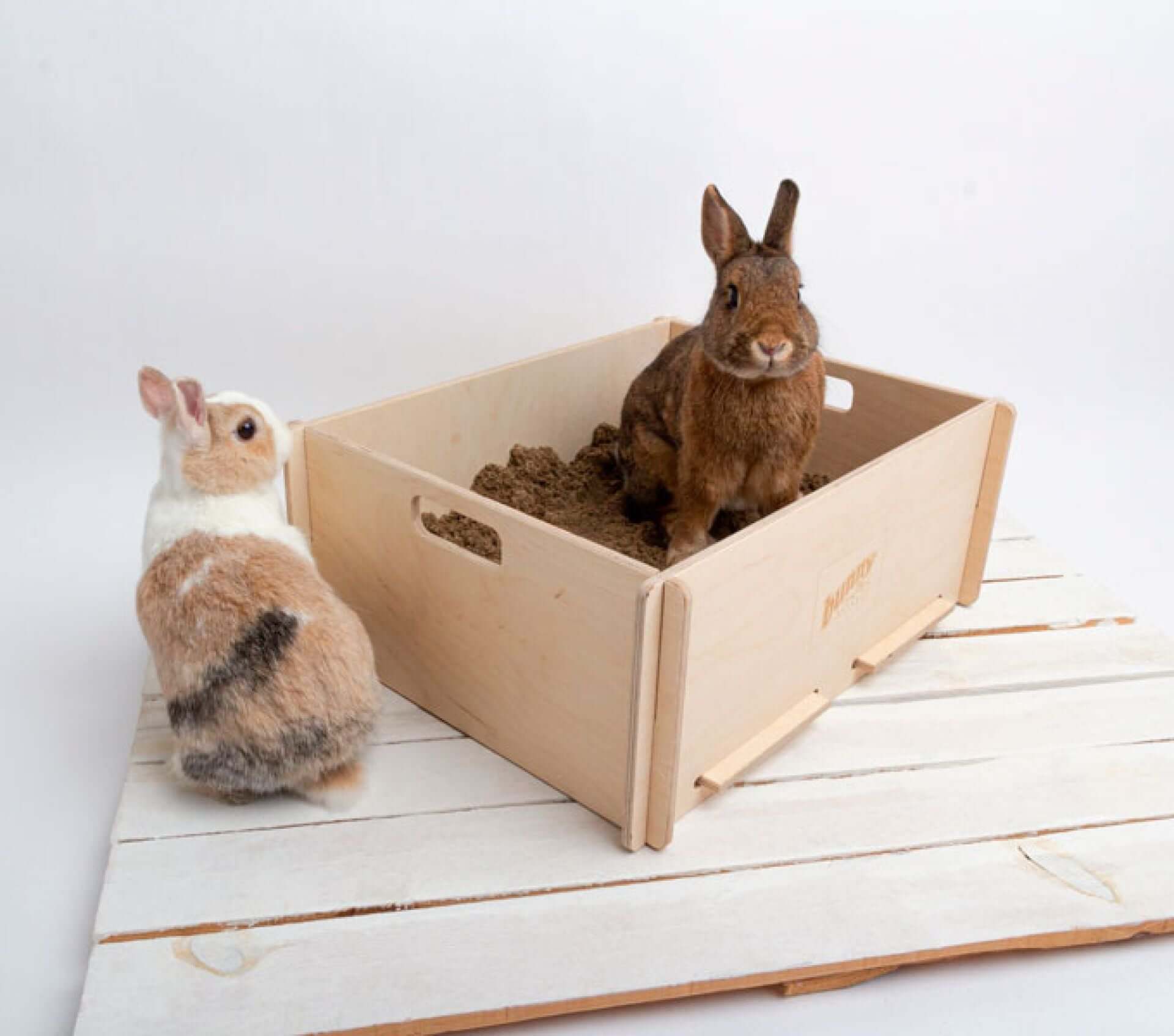 Kaninchen-Futterstation – Interaktives Futterspielzeug Für Heu & Leckerlis, Gegen Langeweile