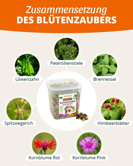 petifool Blütenzauber - Nagerfutter -  - petifool