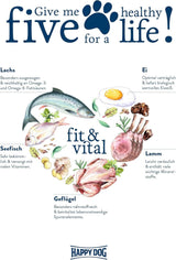 Infografik mit Zutaten für Happy Dog fit & vital: Lachs, Ei, Geflügel, Seefisch, Lamm für gesunde Hundefütterung.