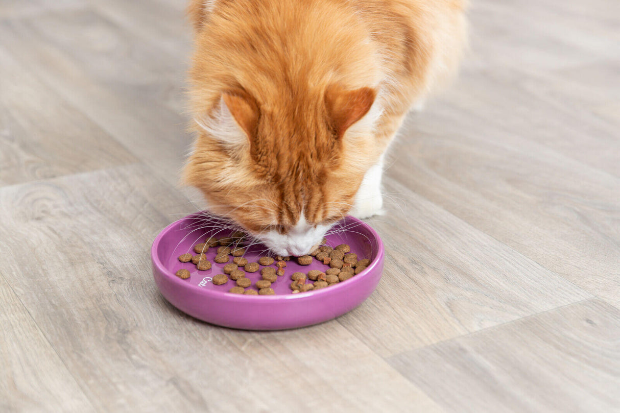 Trixie Katzenapf XXL mit Katze die daraus frisst