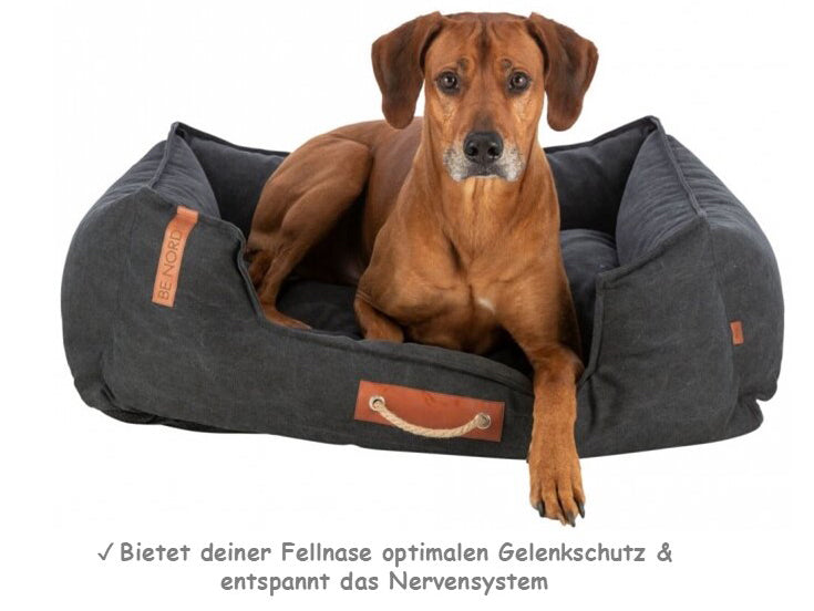 Orthopädisches Hundebett BE NORDIC