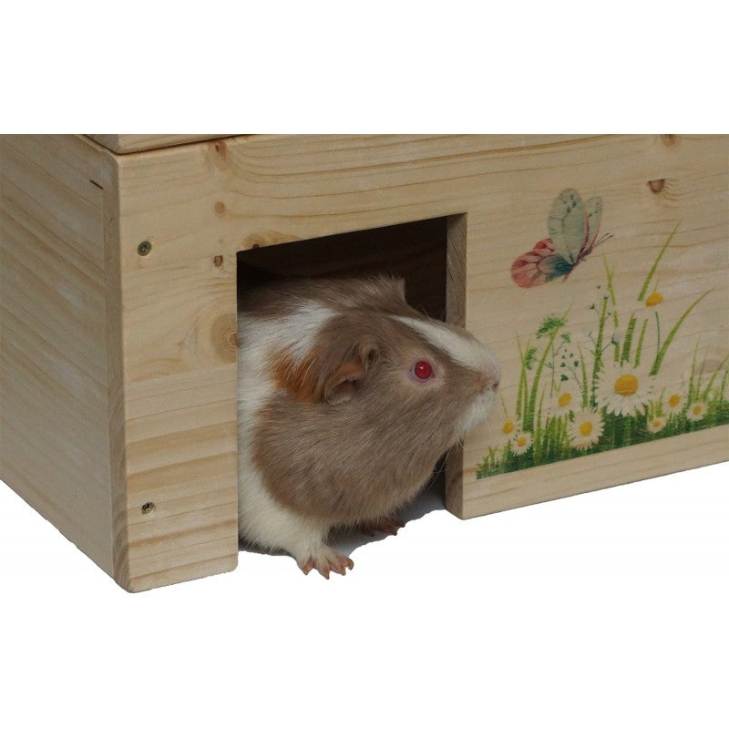 Meerschweinchenhaus Schmetterling mit 2 Eingängen & Holzlasur -  - Nagerstore