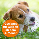 ARDAP Zecken- und Flohhalsband für Hunde