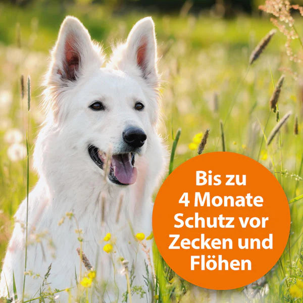 ARDAP Zecken- und Flohhalsband für Hunde